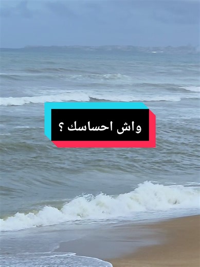 Experience Algeria's Serene Ocean Views