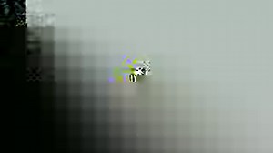 38K views · 2.1K reactions | A homeless dog strayed onto an overpass in Central China's Changsha. Then a kind-hearted traffic police officer escorted the little dog to safety. | People's Daily, China | Facebook