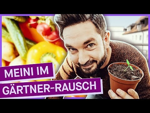 Balkongarten: So baust du dein eigenes Gemüse auf dem Balkon an