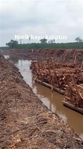 edisi kapal kecil narik kayu kaliptus #fpy #shortvideo