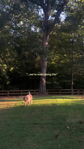Never did I think I’d be watching my parents build a house in my backyard #multigenerationalliving #buildingahouse #multigenerationalhome #multigen