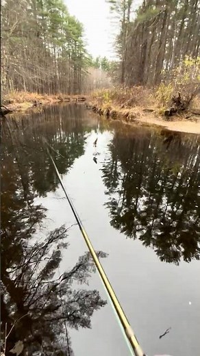Hooked a Landlocked Salmon on the Fly… Then It Jumped Off 😭 #GetFishorDieTrying