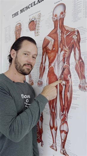 WeShape on Instagram: "Comment “feel good” and we’ll help you out. 5 Gentle Moves For Tight Hips — simple, body-kind movement to help you feel good again. ✨💪"