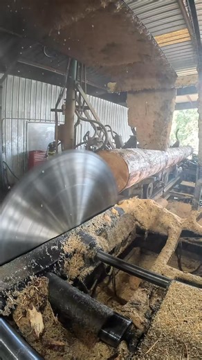 Wood cutting mill | Wood Of Branch