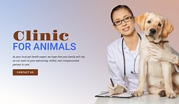 Animal veterinary hospital - HTML Template by Nicepage