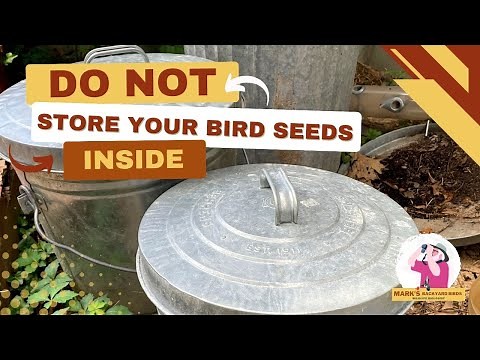 Don't Store Your Bird Seed Inside #birdwatching #sunflowerseed #finch