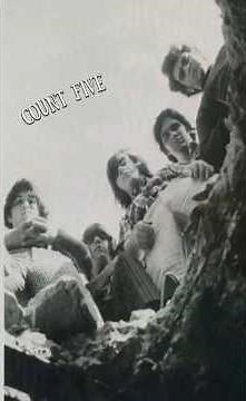 История Count Five | #Music #Rock #Рок #Музыка