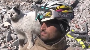 Cat Saved By Rescue Crew In Turkey After Earthquake Won't Leave Their Side