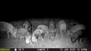 32K views · 496 reactions | Time to "reload" and get back at it this weekend.. | Honey Locust Ranch | Facebook