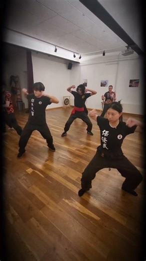 Kung fu in Hannover #kungfu #martialarts #hungkuen #kampfkunst #hannover #sanda #china #hongkong