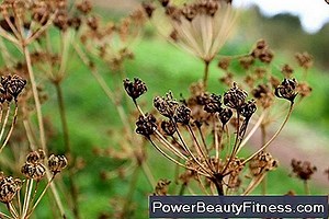 Quels Médicaments Provoquent Des Taux Élevés De Créatinine? 💪💪 Tout À Propos Des Modes De Vie Sains Et De Remise En Forme - 2025