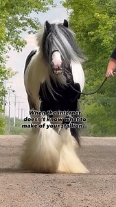 10K views · 33K reactions | There is one thing for sure… SD Daddy...