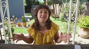 Where Do Magic Mushrooms Grow?