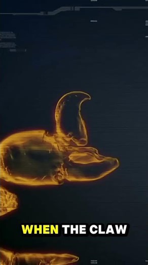 Why Does the Pistol Shrimp Create an Underwater Explosion