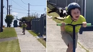 Magpie Attack Caught On Camera