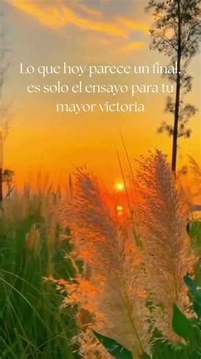 GOOD NIGHT #mensajesdebuenastardes #frases #buenasnoches❤️
