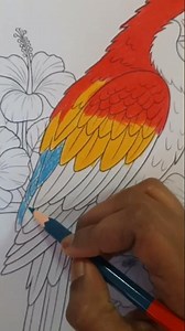 how to make parrot 🦜 # #artscraft #like #share #artists