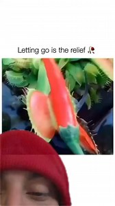 600K views · 4.6K reactions | Sometimes you gotta let go | Micky Stickey Reviews Everything | Facebook