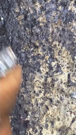 When you have bugs on a device #automobile #repair