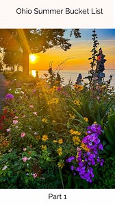 ☀️The Ohio Summer Bucket List is here! And this is only part one of our very exciting list! ✅ From hidden gems to must-see spots, here’s your guide to squeezing every drop out summer. 🎢 🎠Plan a visit to @kingsislandpr for day full of thrills! Ride the world’s longest wooden coaster, The Beast before heading to Soak City to cool off! 💦 🥾 Hike to Cedar Falls in Hocking Hills! While you there visit Old Man’s Cave and Ash Cave! 🖼️ Take a day to explore @pyramidhillpark in Hamilton. 💐 Walk alon