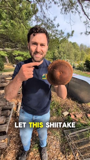 324K views · 3.9K reactions | Soaking your Shiitake logs in the fall...