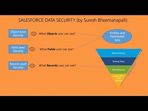 Salesforce Data Security with an Example