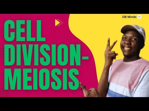CELL DIVISION - MEIOSIS