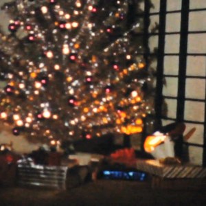 A Christmas wish? Maybe there is more to Christmas? Ask these questions and many more when you join us for our Alpha course starting in early January. For more details and to book a free place: https://everyday.org.uk/alpha #alphaateveryday | Everyday Church | Facebook