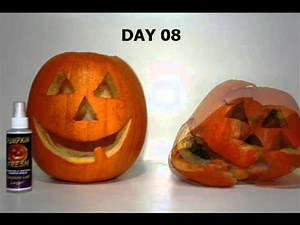 How to Prevent Carved Uncarved Pumpkins from Rotting