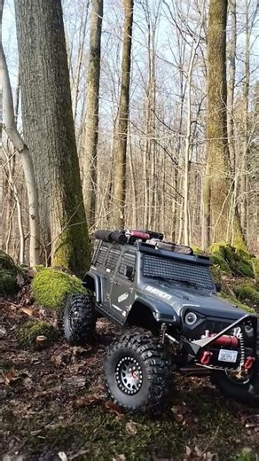 Morning offroad ride #rc #rccar #rcoffoad #offroad #rccrawler #offroading #automobile #axial #forest