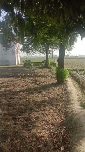 #farming #trndingshorts #yutubeshorts #shortvideo #modernfarmer #sftp ....