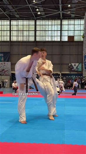 Jan Waniewski -80kg European Kyokushin Karate Championship