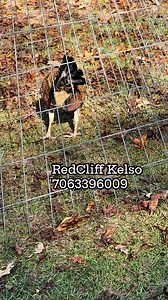 13K views · 483 reactions | Dre RedCliff on Reels | Facebook