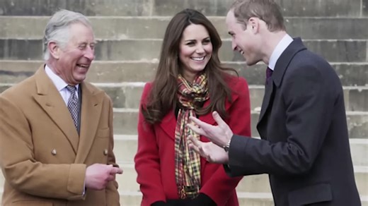 Court Universe (@court.universe)’s videos with original sound - Court Universe