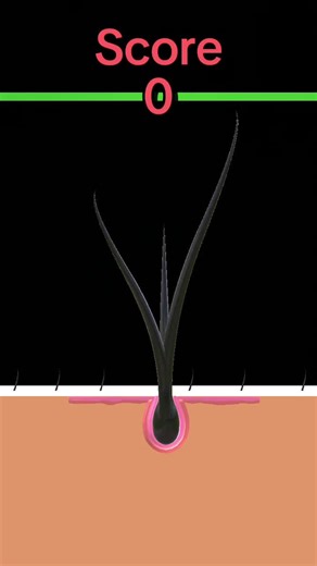 Halfling_Duck (@halfling_duck)’s videos with original sound - Qveen Herby