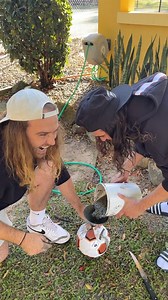 4.4M views · 105K reactions | Concrete Ball Prank! 臘 | Shammi | Facebook