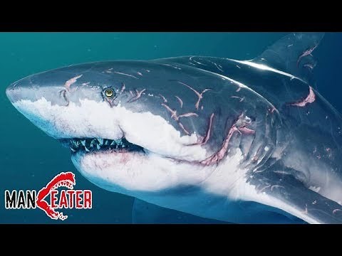 MEGALODON UNLOCKED!!! (MANEATER)