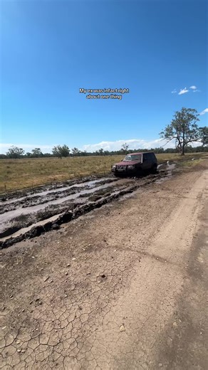 Pigs In The Mud: A Hilarious Animal Moment