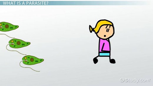 Definitive & Intermediate Hosts | Overview, Difference & Examples