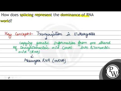 How does splicing represent the dominance of RNA world?