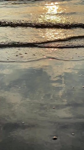 5.2K views · 170 reactions | Let these Tybee Island sunsets set you free. #VisitTybee . . . #tybeeisland #tybee #tybeebeach #savannahsbeach #tybeeislandbeach #exploregeorgia #georgiacoast #tybeestrong #beachwalk #sunset #beachlife #coastalgeorgia #tybeelivin | Visit Tybee | Facebook