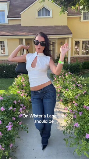 Where the hell is Mike Delfino | wisteria lane
