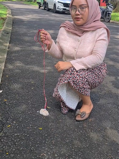 jalan jalan ngak cuma sama kucing dan anjing ya, hamster pun bisaaa #foryoupage #viralvideo #tiktok #hamster #jalanjalan