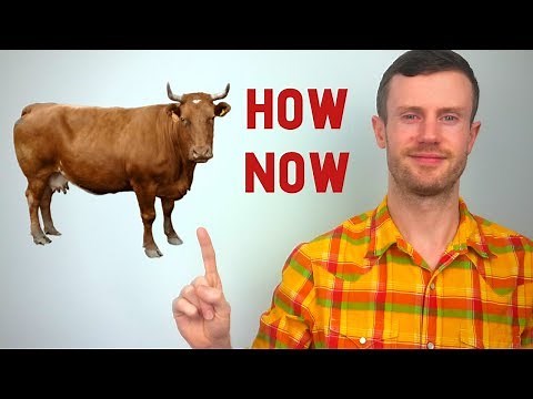 How Now Brown Cow | Northern Irish Accent