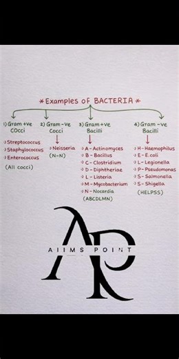 Types of Bacteria Made Easy | Gram +ve & Gram –ve Cocci and Bacilli for Nursing & Medical Exams