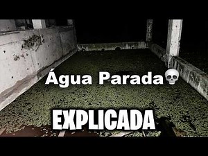 "Still Water": The Danger of Stagnant Water That Became a Meme (subtitles in English)