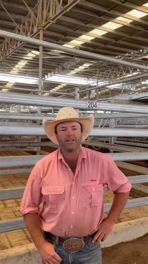 📰 Market Report 📰 This weeks SELX Cattle report bought to you by Clay Bush 🤠 Cattle Store sale at SELX on Friday 30th commencing at 10am , hope to see you there 🐮 | Elders Goulburn