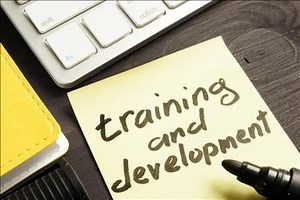 Resume Writing 101: Supplemental Sections