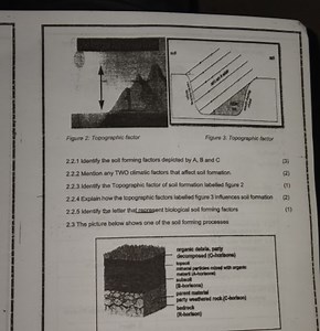 2.2.1 Identify the soil forming factors depicted by A, B and C... | Filo