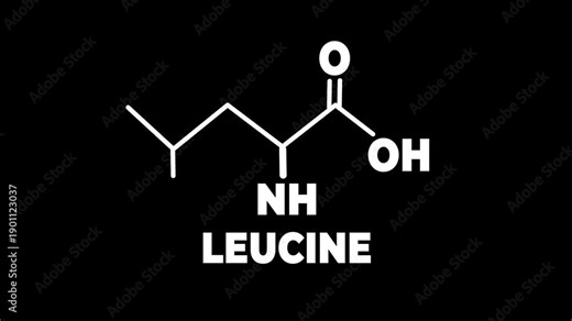 Leucine chemical formula. Alanine amino acid molecular bond structure. Medicine and biosynthesis study. 3D render.